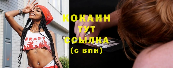 твердый Инта