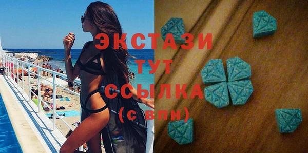 твердый Инта