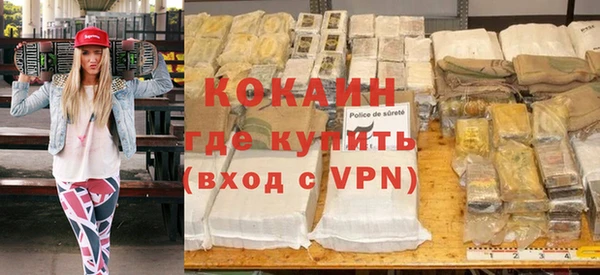 твердый Инта