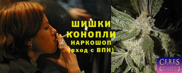 твердый Инта
