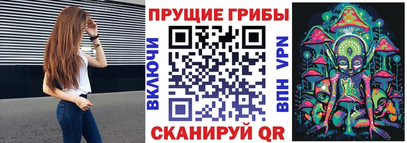 Галлюциногенные грибы MAGIC MUSHROOMS  наркотики  Сковородино 